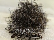 PET45d16a_arame